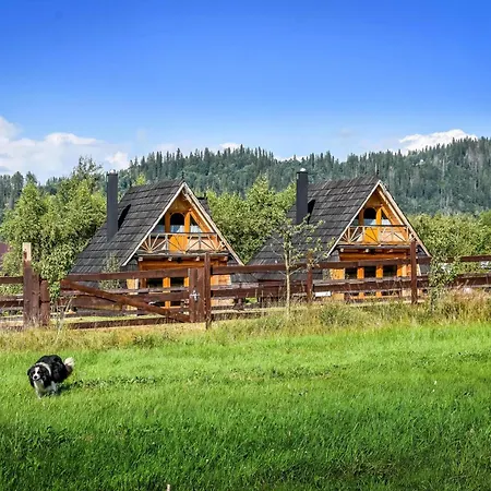 Domek alpejski Gazdowka Na Brzyzku *