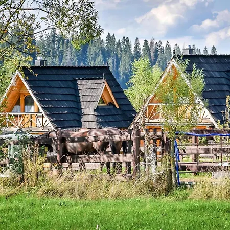 Domek alpejski Gazdowka Na Brzyzku Zakopane
