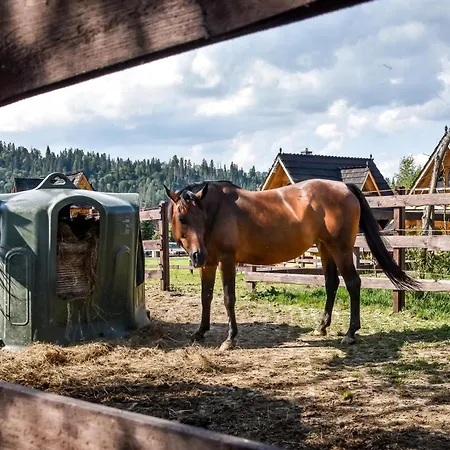 Gazdowka Na Brzyzku Zakopane