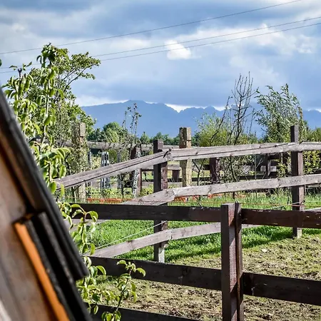 Domek alpejski Gazdowka Na Brzyzku