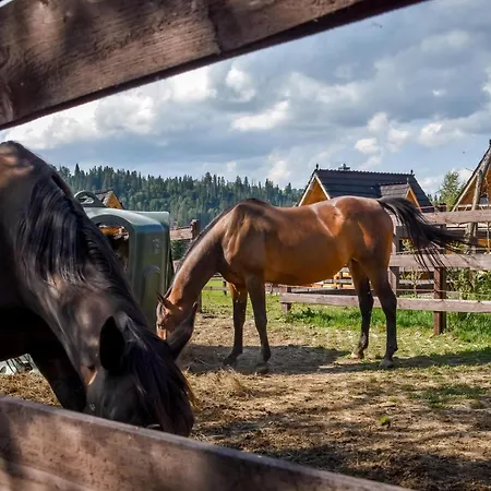 Domek alpejski Gazdowka Na Brzyzku *