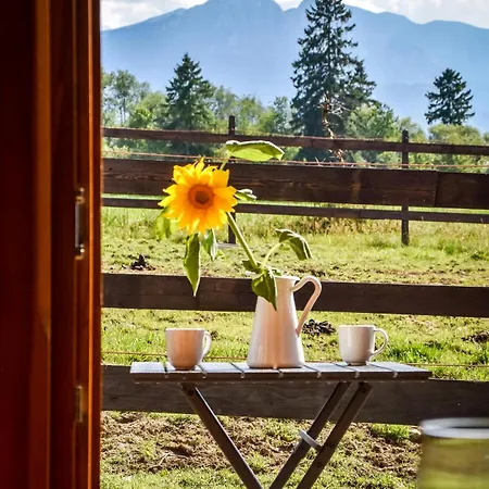 Gazdowka Na Brzyzku Alpstuga Zakopane